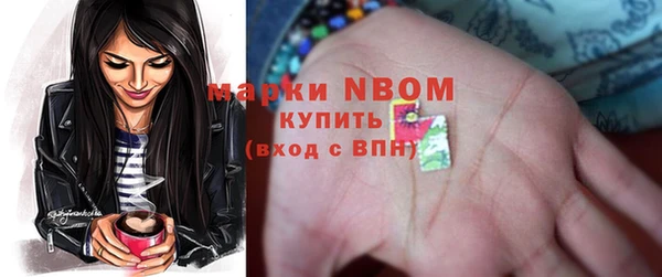 амф Новозыбков