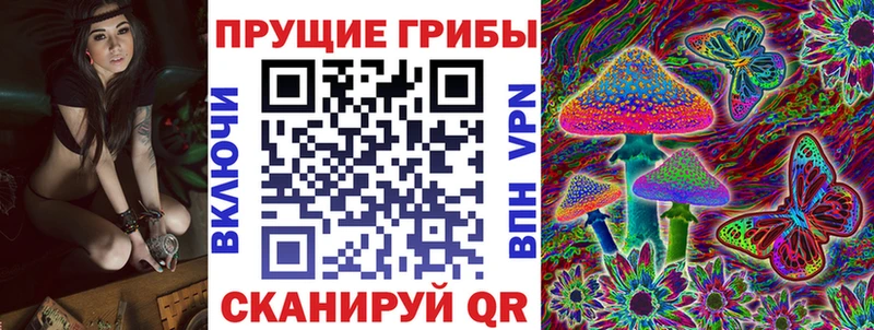 Купить закладки  Губкинский  Псилоцибиновые грибы мухоморы 